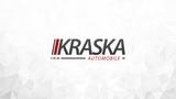 Skoda Octavia RS 2.0 TSI Lim. AHK SHZ RFK COLUMBUS DCC - Skoda Octavia: Grün, RS