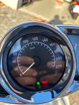 Harley-Davidson VRSCA V-Rod Erstserie | 8101 km | Sammlerzustand - HARLEY-DAVIDSON V ROD VRSCA