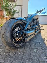 Harley-Davidson Night Rod V-Rod 2015 5550km Harley VRSCDX - Angebote