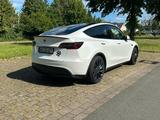 Tesla Model Y Performance Dual Motor AWD Performance - Tesla Model Y Dual Motor Gebrauchtwagen