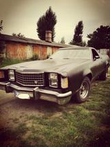 Ford Ranchero GT500 - Ford: Ranchero