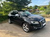Audi SQ5 3.0 TDI tiptronic quattro 313 PS Keyless Go - Audi SQ5: TDI