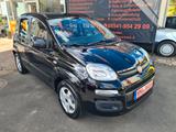 Fiat Panda My Panda-2.HAND/Tüv NEU/51KW/EURO6/AHK- - Fiat Panda Gebrauchtwagen in Kassel