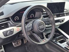 Fahrzeugabbildung S4 Avant 3.0 TDI quattro basis EU6d-T