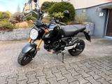 Honda MSX 125 Grom