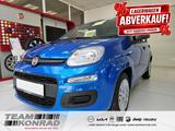 Fiat Pandina 1.0 ICON - Klima - sofort verfügbar - Te - blaue Fiat New Panda