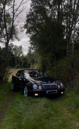 Mercedes-Benz Mercedes clk 320 w208 Cabriolet, Rostfrei!!! - Mercedes-Benz: Clk W208