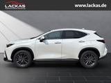 Lexus NX 350h Executive interieur Paket + Technologie  - Lexus NX-Serie in Essen