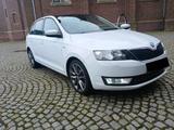 Skoda Rapid Benzin Xenon/Pano - Skoda Rapid in Köln