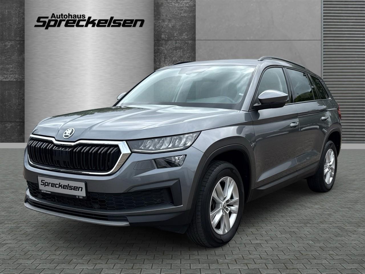 Skoda Kodiaq 2.0 TDI DSG Ambition++AHK++ACC++SHZ