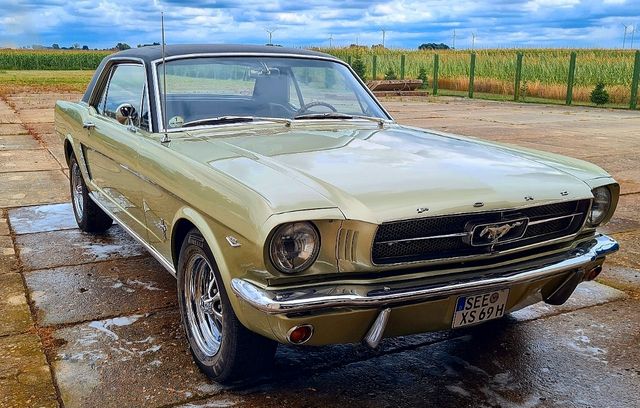 Ford Mustang 289 Bj. 1965 Hardtop Coupé V8