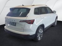 Skoda Karoq - Vorschau Bild 2