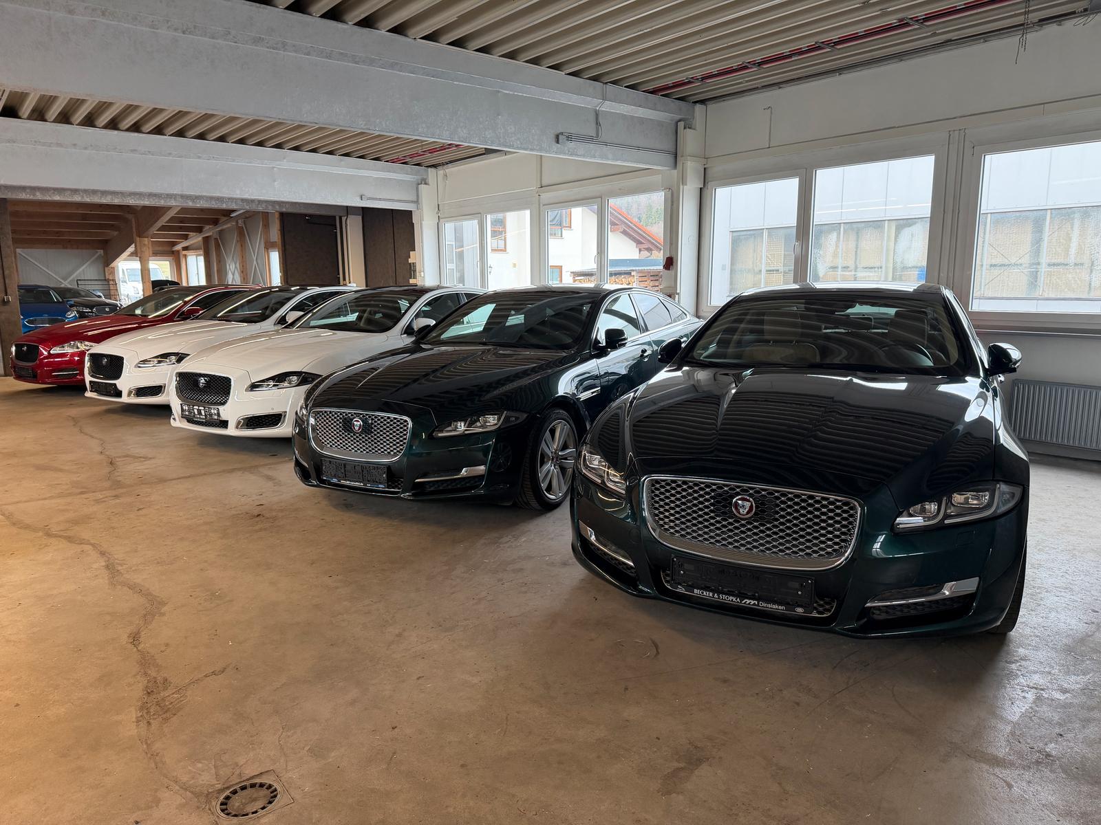 showroom-image-top