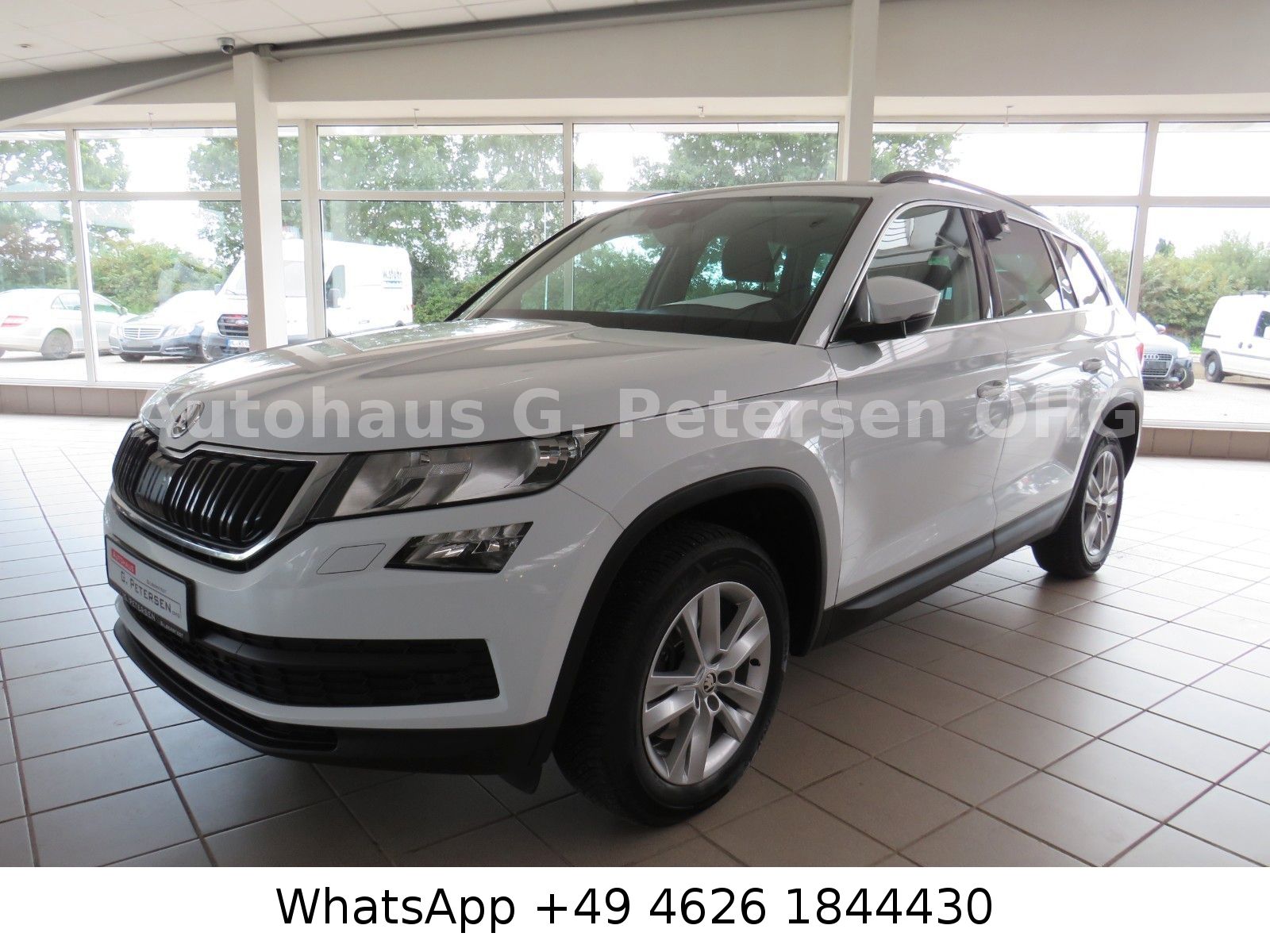 Skoda Kodiaq - 1