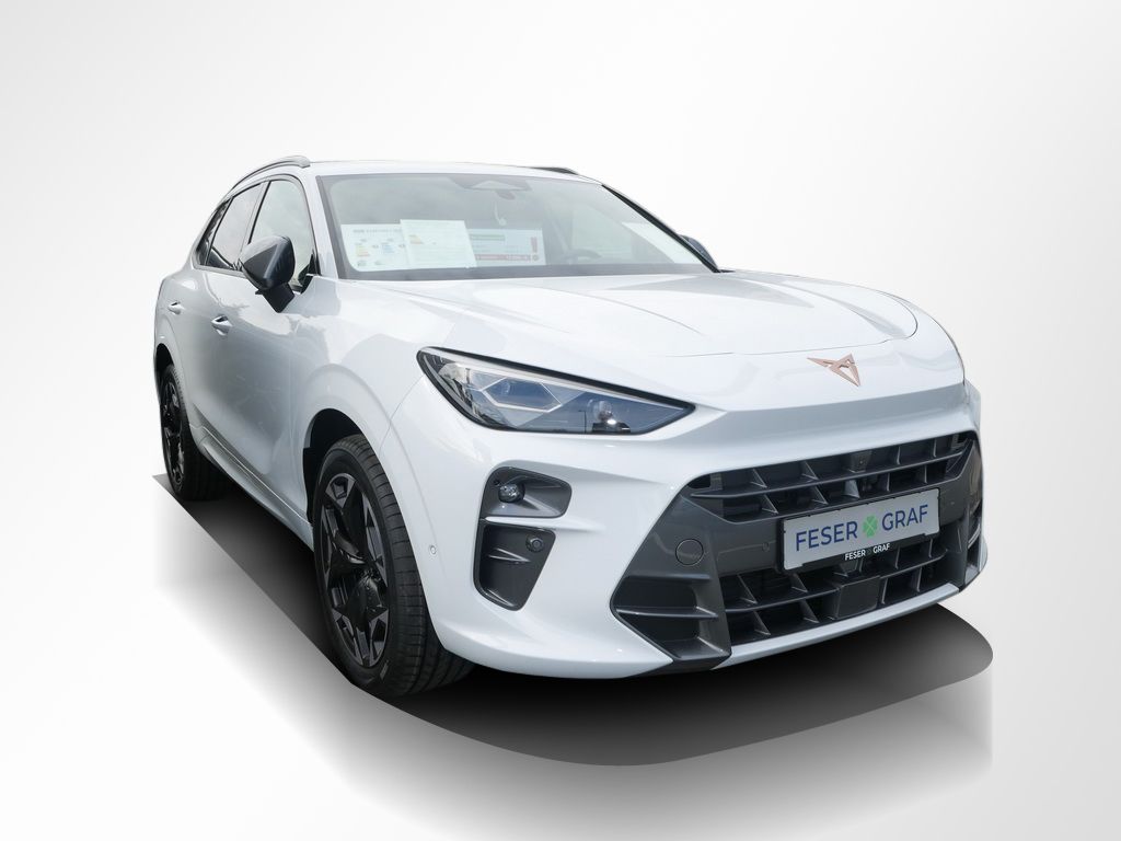 Cupra Terramar - Bild 5