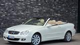 Mercedes-Benz CLK 350  Cabrio HARMAN KARDON/LEDER /TOP - Mercedes-Benz CLK 350 Benziner Gebrauchtwagen