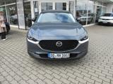 Mazda CX-30 2.5L e-SKYACTIV G 140 6MT Homura - Mazda CX-30 in Dresden