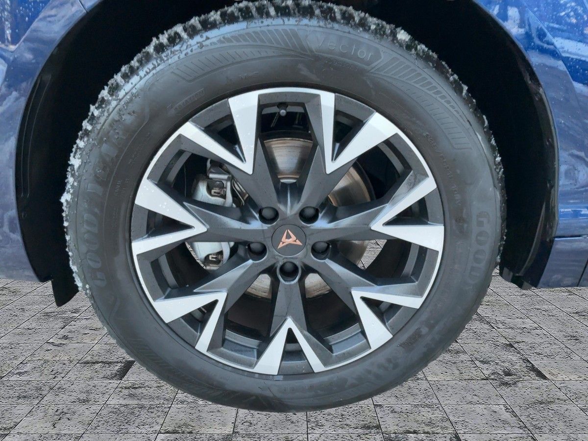 Cupra Terramar - Bild 8