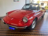Alfa Romeo Spider 2.0 Veloce 1982 - Alfa Romeo aus 1982
