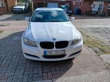BMW bmw e90.316d.  2011 - BMW 316: E90