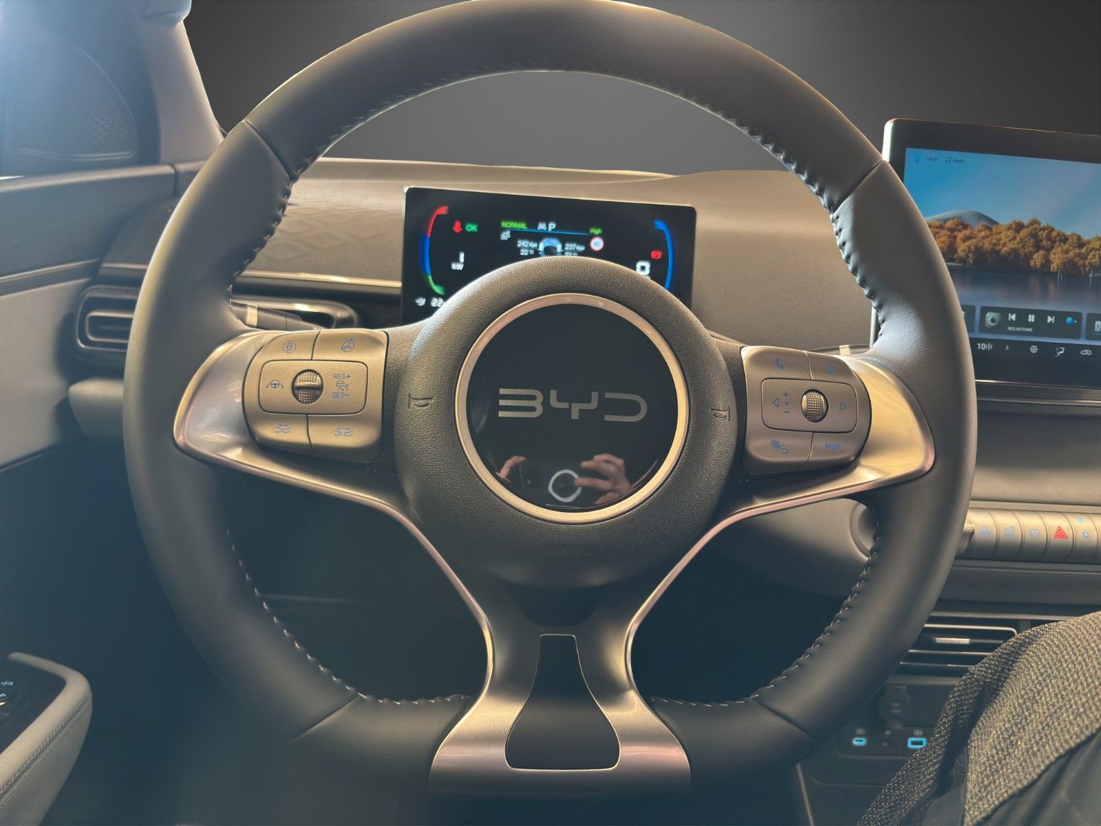 BYD DOLPHIN SURF