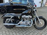 Harley-Davidson Sonorster 883 - HARLEY-DAVIDSON VON 751 BIS 1000 CCM