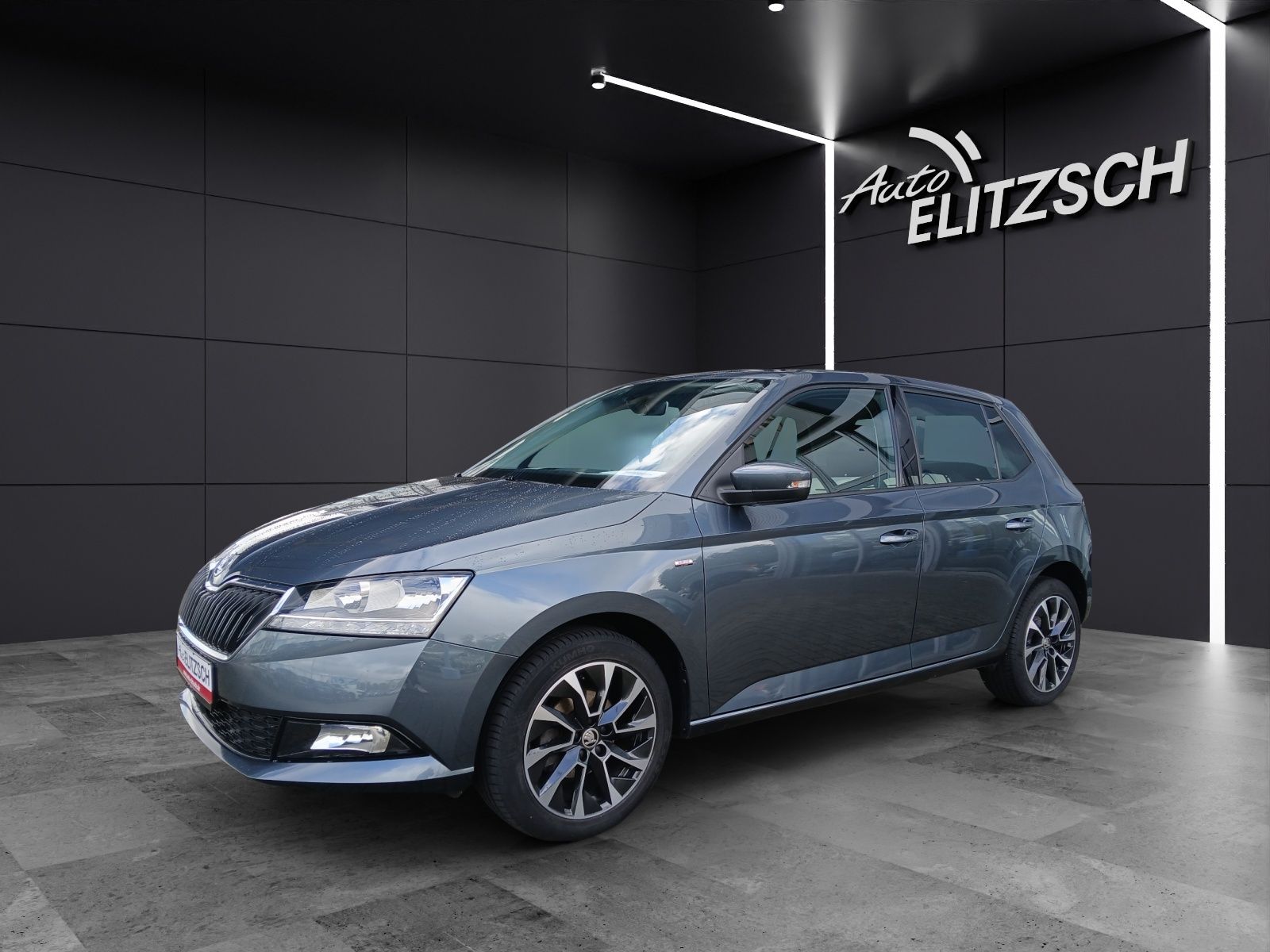 Fahrzeugabbildung SKODA Fabia TSI Drive-125 Climatronic GRA PDC SH LM