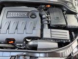 Audi A3 Cabrio 1,6 TDI Ambition PDC V/H Leder - Audi Cabriolet mit Diesel-Antrieb: Cabrio