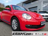 Volkswagen Beetle Cabriolet 1.2TSI BMT RCD310 Windschott LM - : Rot, Cabrio
