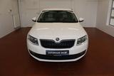 Skoda Octavia Elegance DSG Klima Tempomat DAB - Skoda Octavia mit Benzin-Antrieb