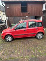Fiat Panda 1,2 Benzin - Fiat Panda Gebrauchtwagen in Karlsruhe