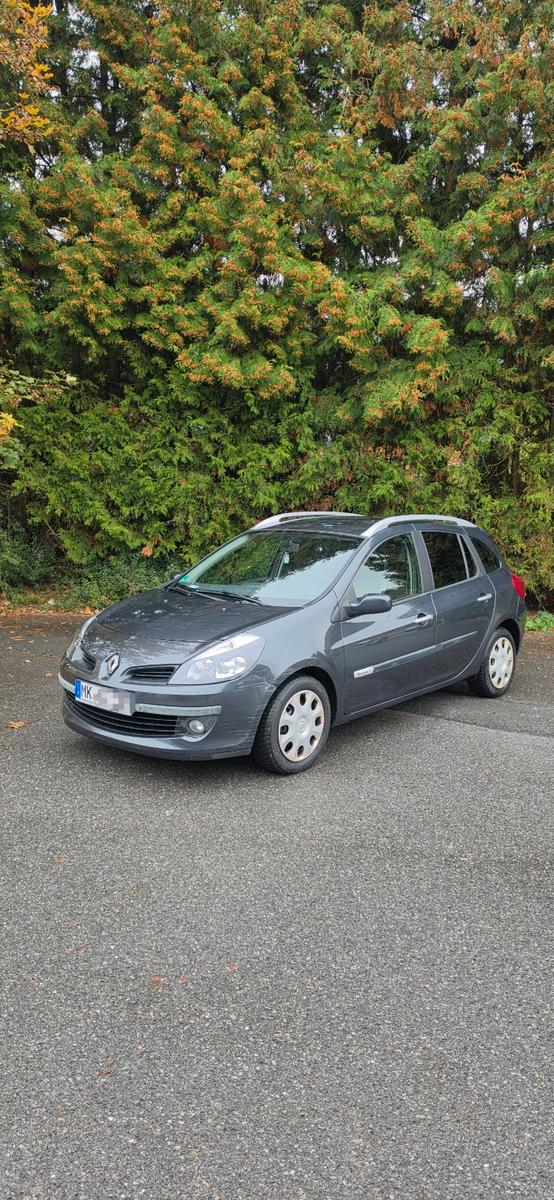 Renault Clio 2009 — rear view