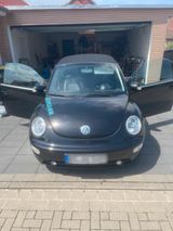 Volkswagen Vw Beetle Cabriolet - Volkswagen Beetle aus 2005