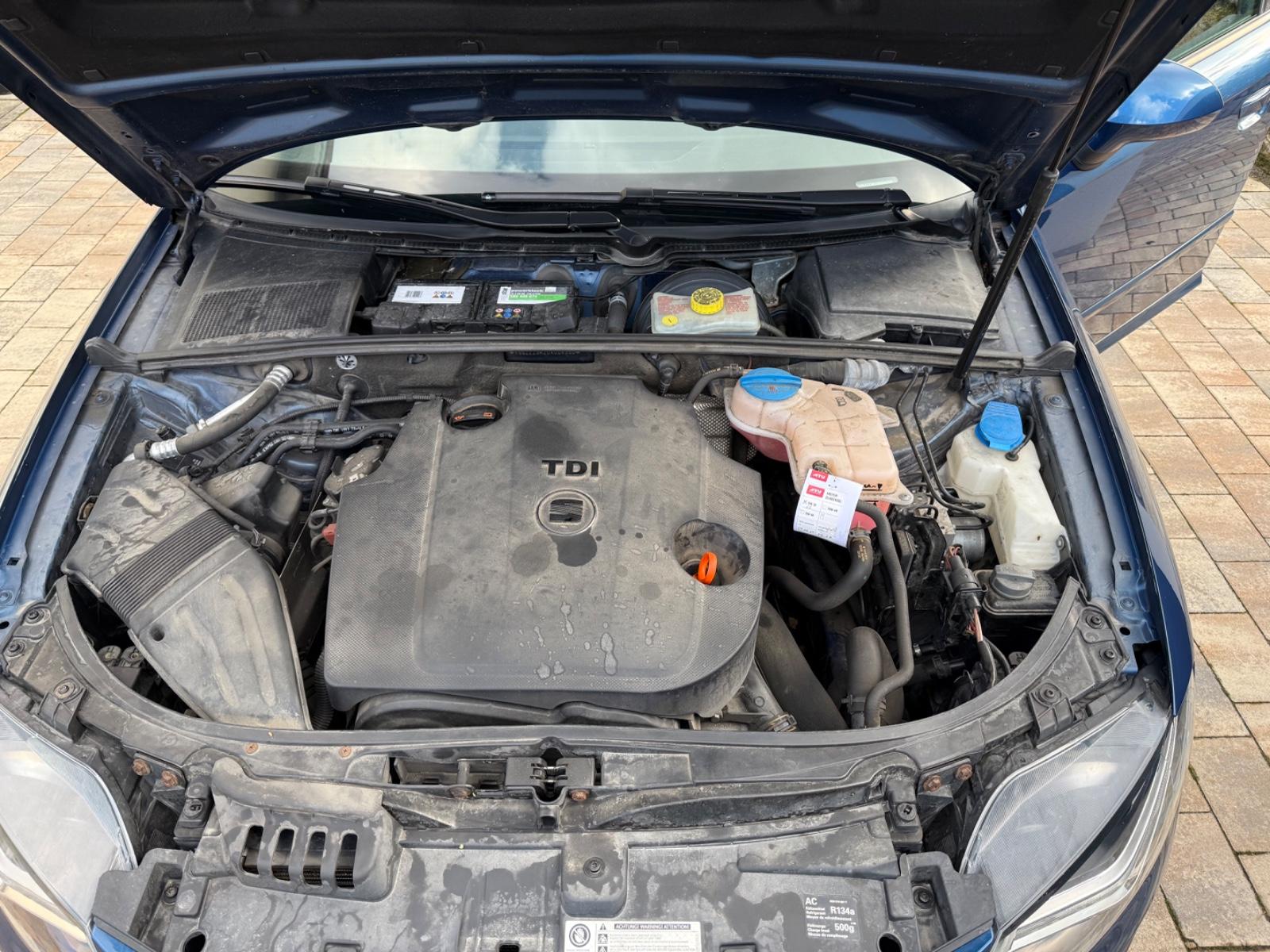 Seat Exeo 2013 — photo 13