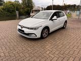 Volkswagen Golf 2.0 TDI/Golf 8/TÜV neu/Anhängerkupplung - Volkswagen Golf: Anhängerkupplung