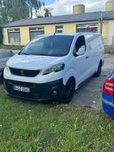 Peugeot Expert extra lang - Peugeot Expert: Kombi