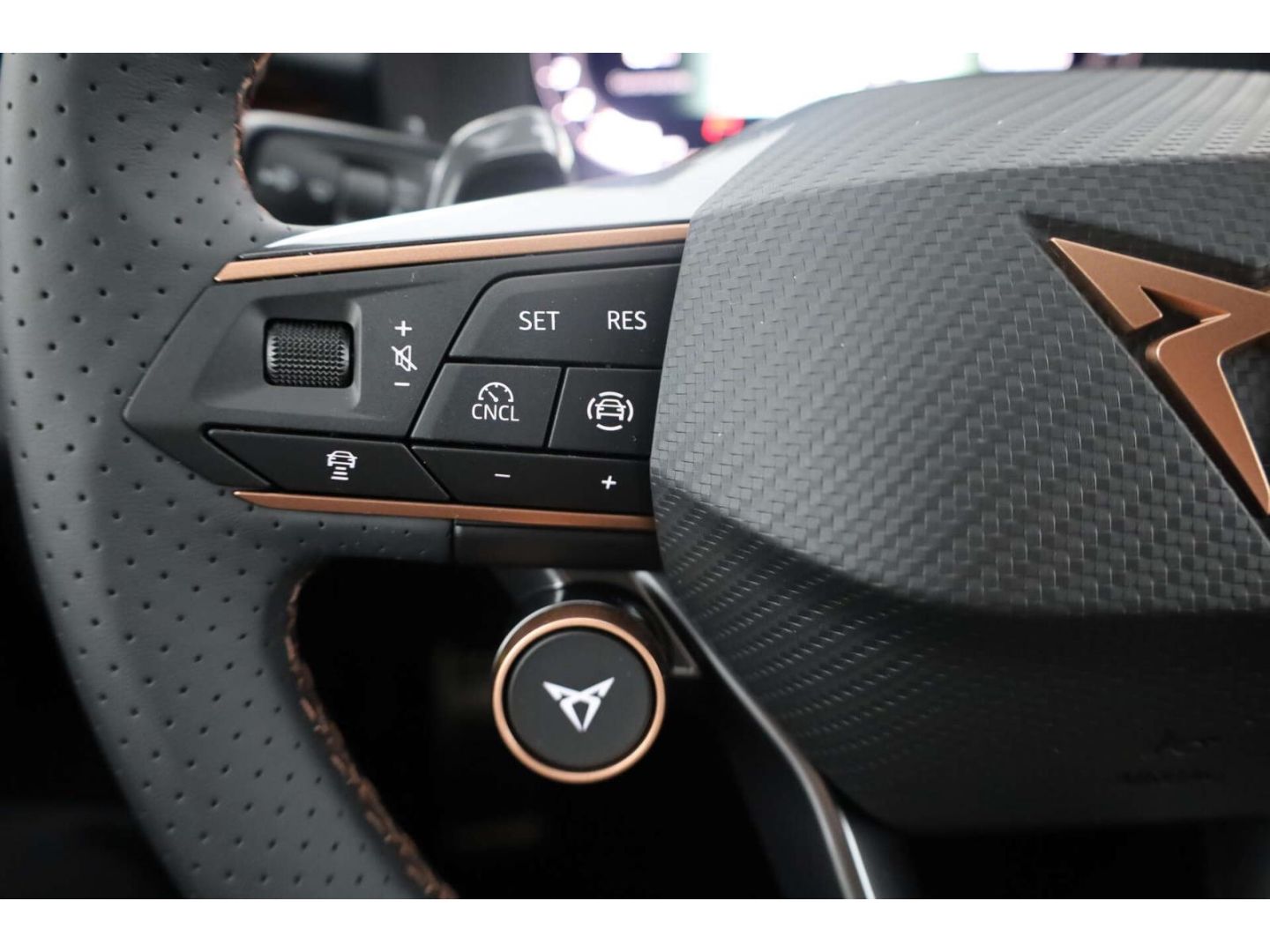 Cupra Terramar - Bild 14