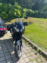 Triumph Tiger 955i - Angebote entsprechen deinen Suchkriterien