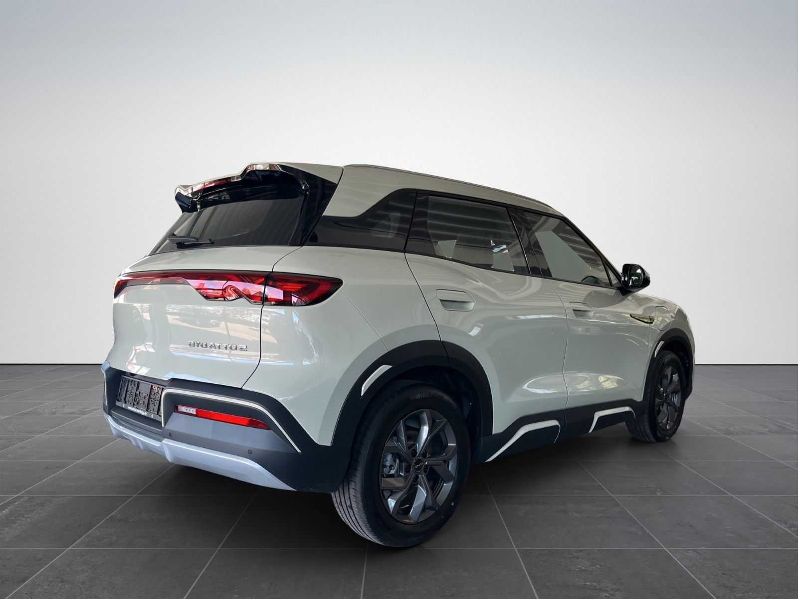BYD ATTO 2