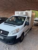 Fiat SCUDO 3,5t Kühlfahrzeug TÜV 6/2028. - : Kuehlfahrzeug