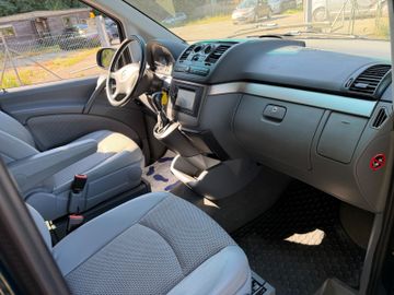 Mercedes Viano - 11
