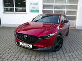 Mazda CX-30 SKYACTIV X 186 AT Nagisa BOSE/KAMERA/WKR - Mazda CX-30 Nagisa mit Benzin-Antrieb