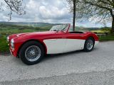 Austin Healey Andere - Austin Healey: Roadster