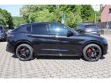 Alfa Romeo Stelvio VELOCE 2.0 TURBO 16V 280 PS AT8 Q4 SCHIE - Alfa Romeo Stelvio Tageszulassungen