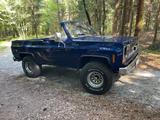 Chevrolet Blazer - Chevrolet Blazer: Pickup