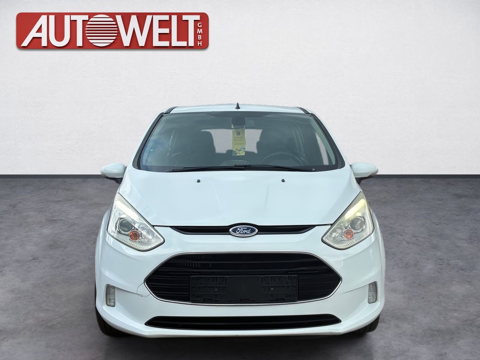 Fahrzeugabbildung Ford B-MAX 1.0 EcoBoost Titanium SHZ,Keyless,LM,FLA