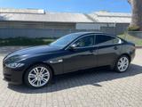 Jaguar XE Prestige - Jaguar in Kiel