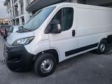 Fiat Ducato 30 2.3 MJT 120CV PM-TM Furgone km890 - Fiat Ducato mit Diesel-Antrieb: 2.8