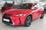 Lexus UX 250h Navi LED Kamera Lenkradhzg. - Lexus UX SUV
