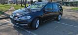 Volkswagen Golf 1.6 TDI DSG Comfortline Variant Comfortline
